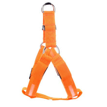 Nylon LED Dog Harness Pet Cat Dog Collar Harness Vest High Quality Safety Lighted Accessories Dog Harness Small / Big / Large