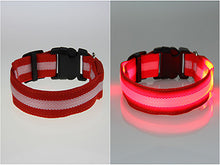 USPS Shipping 8 Color S M L Size Glow LED Dog Pet Cat Flashing Light Up Nylon Collar Night Safety Collars Supplies Dropship