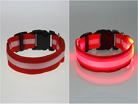 USPS Shipping 8 Color S M L Size Glow LED Dog Pet Cat Flashing Light Up Nylon Collar Night Safety Collars Supplies Dropship