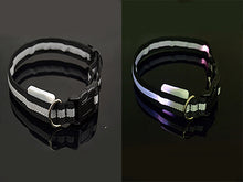 USPS Shipping 8 Color S M L Size Glow LED Dog Pet Cat Flashing Light Up Nylon Collar Night Safety Collars Supplies Dropship