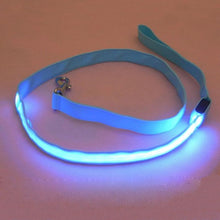 2.5 cm LED Pet Cat Dog LED Leash Safety Glow Leash Flashing Lighting Up Good Quality Not the Cheaper One Dog Leash Free Shipping