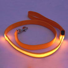 2.5 cm LED Pet Cat Dog LED Leash Safety Glow Leash Flashing Lighting Up Good Quality Not the Cheaper One Dog Leash Free Shipping
