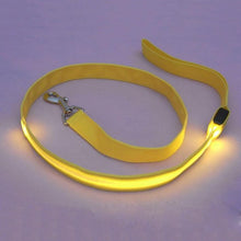2.5 cm LED Pet Cat Dog LED Leash Safety Glow Leash Flashing Lighting Up Good Quality Not the Cheaper One Dog Leash Free Shipping